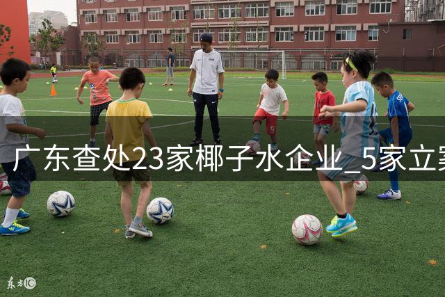 广东查处23家椰子水企业 5家立案处理